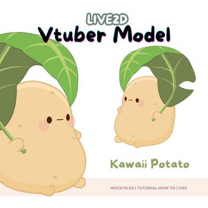 Modello Vtuber Kawaii Potato Premade, Modello Vtuber Pronto all'Uso, Modello Vtuber e Rigging, Vtuber Premade per Twitch e Youtube, Vtuber 2d