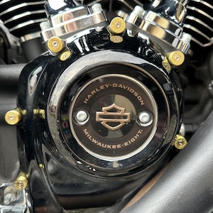 May include: Close-up of a Harley-Davidson motorcycle engine. The engine is black with chrome accents and gold-colored hardware. The Harley-Davidson logo is prominently displayed on the engine casing, with the words "Milwaukee-Eight" below.