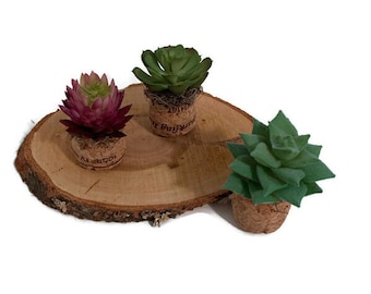 Faux Succulent set of vases, set of three succulent florals