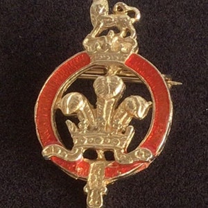 Orange, Gold tone Crest Pin, Lion, Fleur de Lis, Crown, Vintage (D2)