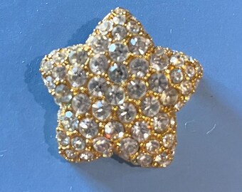 Gereserveerd voor M. Monet Star Pin