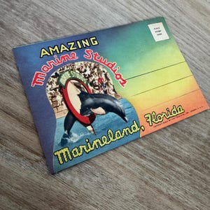 Álbum de postales de recuerdo vintage - Estudios Marinos - Marineland, Florida - Papel efímero vintage