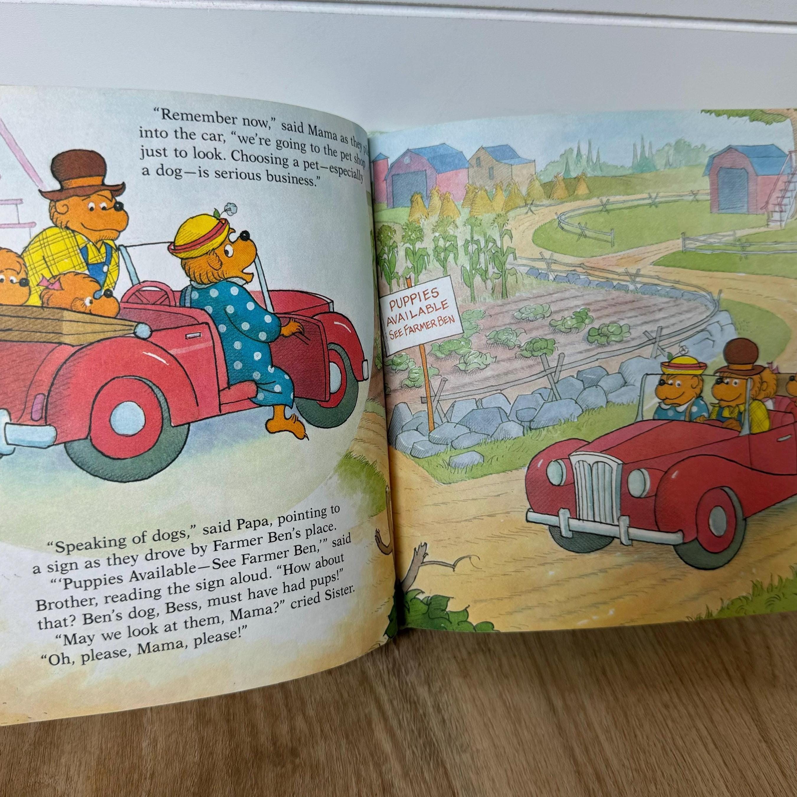 1990 - the Berenstain Bears’ - Trouble With Pets - Vintage Hardcover ...