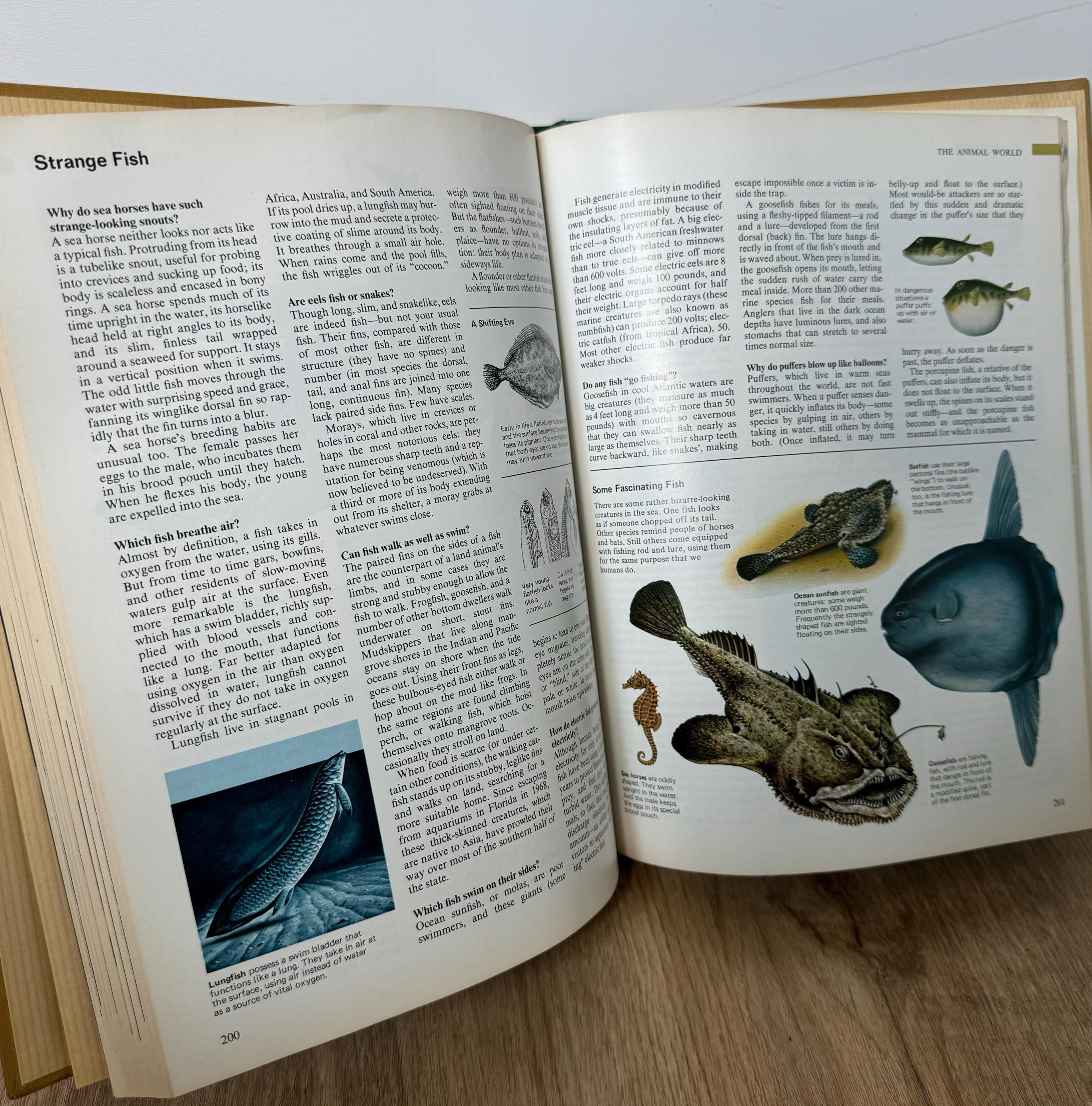 1984 - the Reader’s Digest - Abc’s of Nature - Vintage Hardcover Book ...