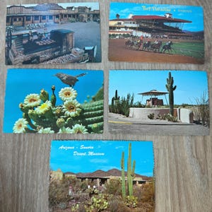 Lot de 5 cartes postales vintage - Vintage Paper Ephemera