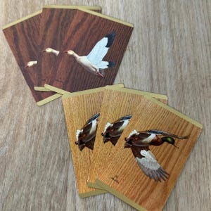 6 carte da gioco vintage Duck Wildlife - Effimere di carta vintage - Diario spazzatura - Carte di scambio singole