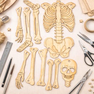 Puede incluir: Un modelo de esqueleto de madera desmontado, con varias partes, incluyendo un cráneo, una caja torácica y huesos de las piernas. Las piezas de color marrón claro están dispuestas sobre una superficie clara, junto con materiales de manualidades como tijeras y cuerda.
