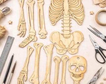 Human Skeleton SVG DXF Files for Laser Cut & Engrave | Plywood Skeleton Model Template | CNC Glowforge xTool LightBurn Design