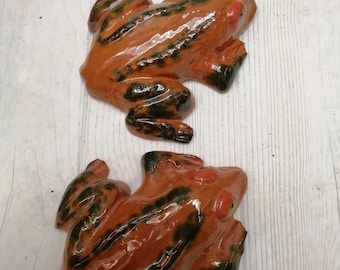 Rana de pared portuguesa hecha a mano, el precio es por 1 rana, rana grande, colorida y única, figura de pared rara, decoración de pared, regalo familiar