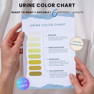 Urine Color Chart: Dehydration Level Guide, Editable Canva Template (PDF Download)