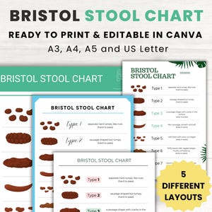 Editable Bristol Stool Chart, Gut Health Poop Tracker, IBS, Bowel Movement, Bristol Poster, Stool Pattern, A3,A4,A5,US Letter, Canva