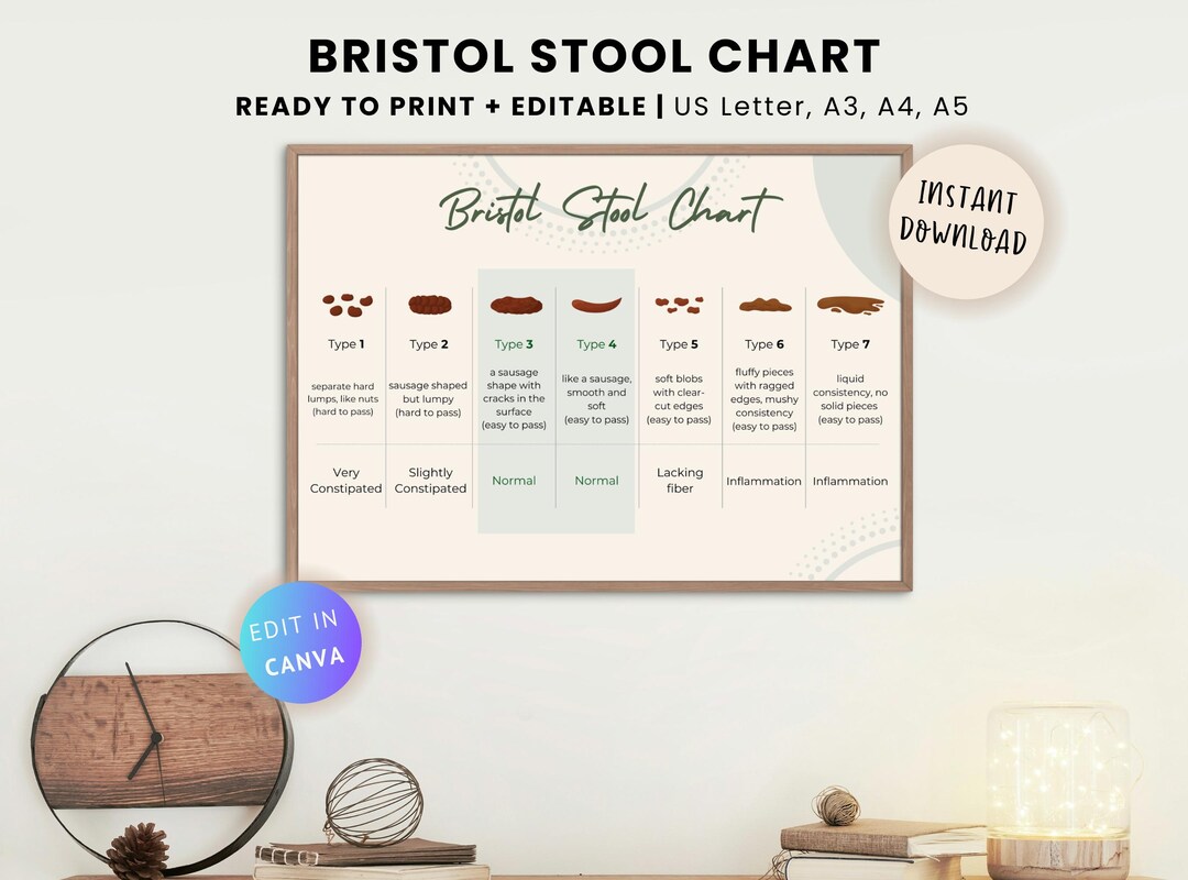 Editable Bristol Stool Chart: Gut Health Poster (PDF) - Etsy