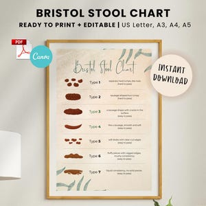Bewerkbare en afdrukbare Bristol-ontlastingstabel, pdf-poster darmgezondheid, PDS, stoelgang, Bristol-poster, ontlastingspatroon, A3, A4, A5, US Letter