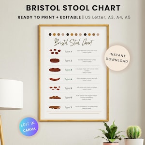 Edytowalny plakat Bristol Stool Charts: Zdrowie jelit (PDF, Canva)