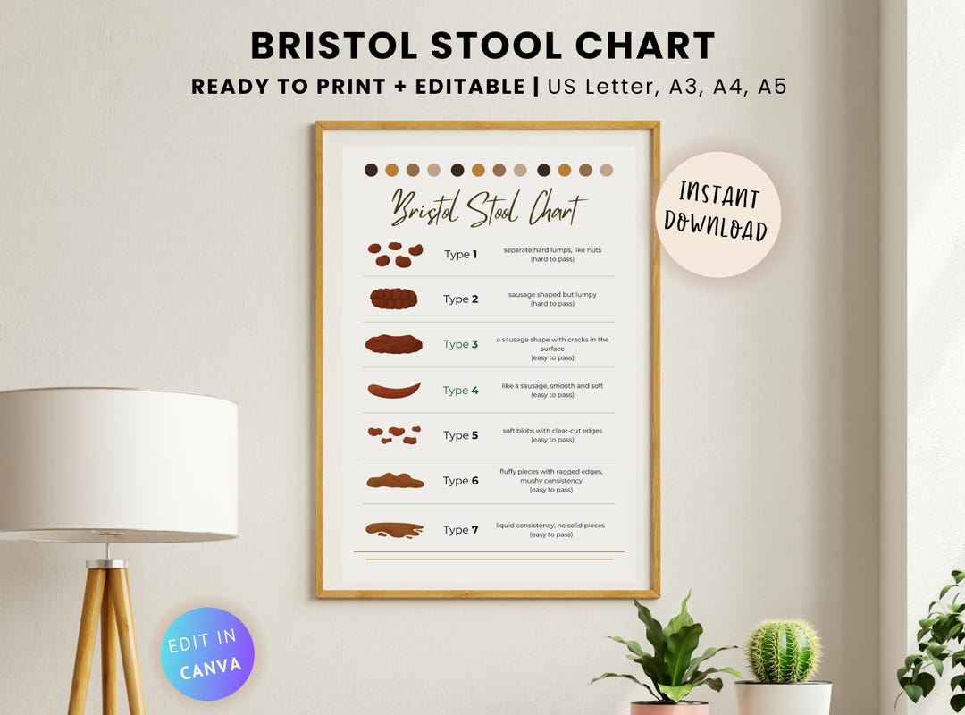 Editable Bristol Stool Chart: Gut Health Poster (PDF, Canva) - Etsy