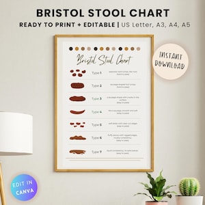 Bewerkbare Bristol-ontlastingstabel, pdf-poster darmgezondheid, PDS, stoelgang, Bristol-poster, ontlastingspatroon, A3, A4, A5, US Letter, Canva