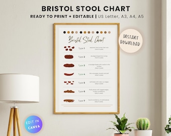 Editable Bristol Stool Chart: Gut Health Poster (PDF, Canva)