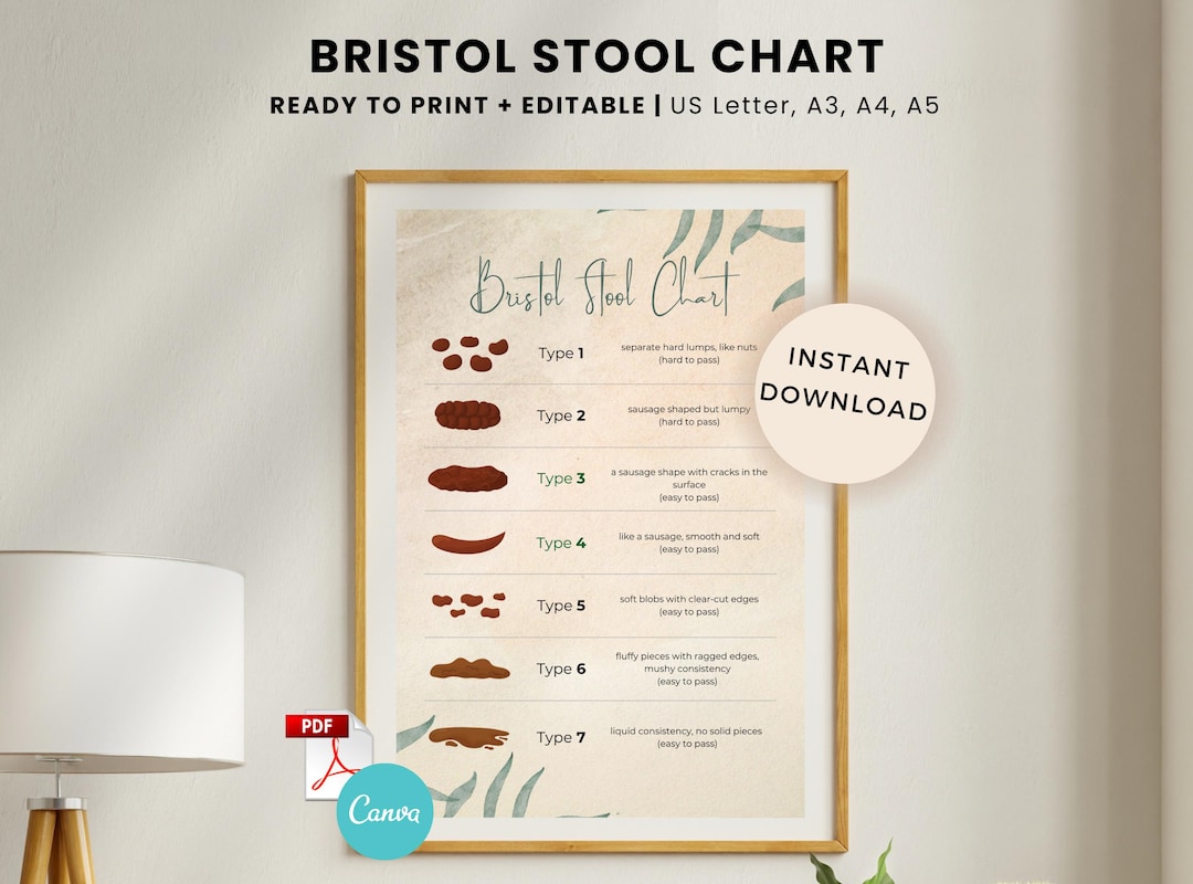 Printable Bristol Stool Chart: Gut Health Tracker (PDF) - Etsy Australia