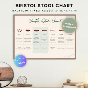 Editable Bristol Stool Chart: Gut Health Poster (PDF)