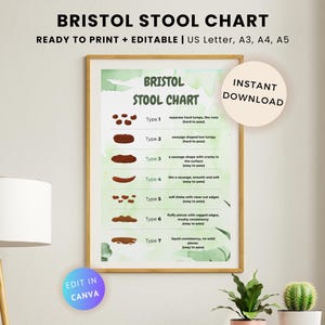 Printable Bristol Stool Chart: Gut Health, IBS Tracker (PDF)
