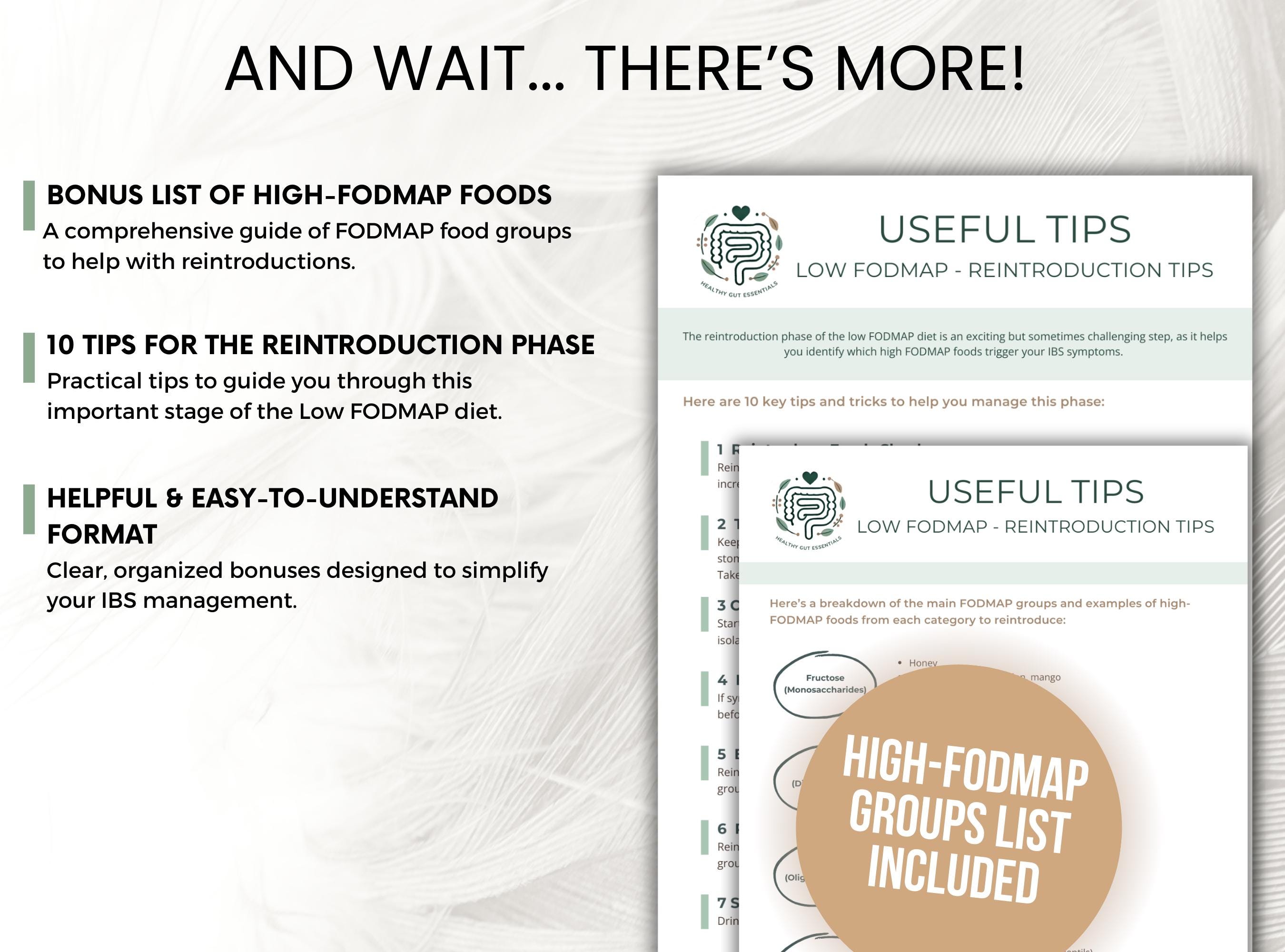Low FODMAP Diet Food Reintroduction Tracker, Printable Food Log, IBS ...