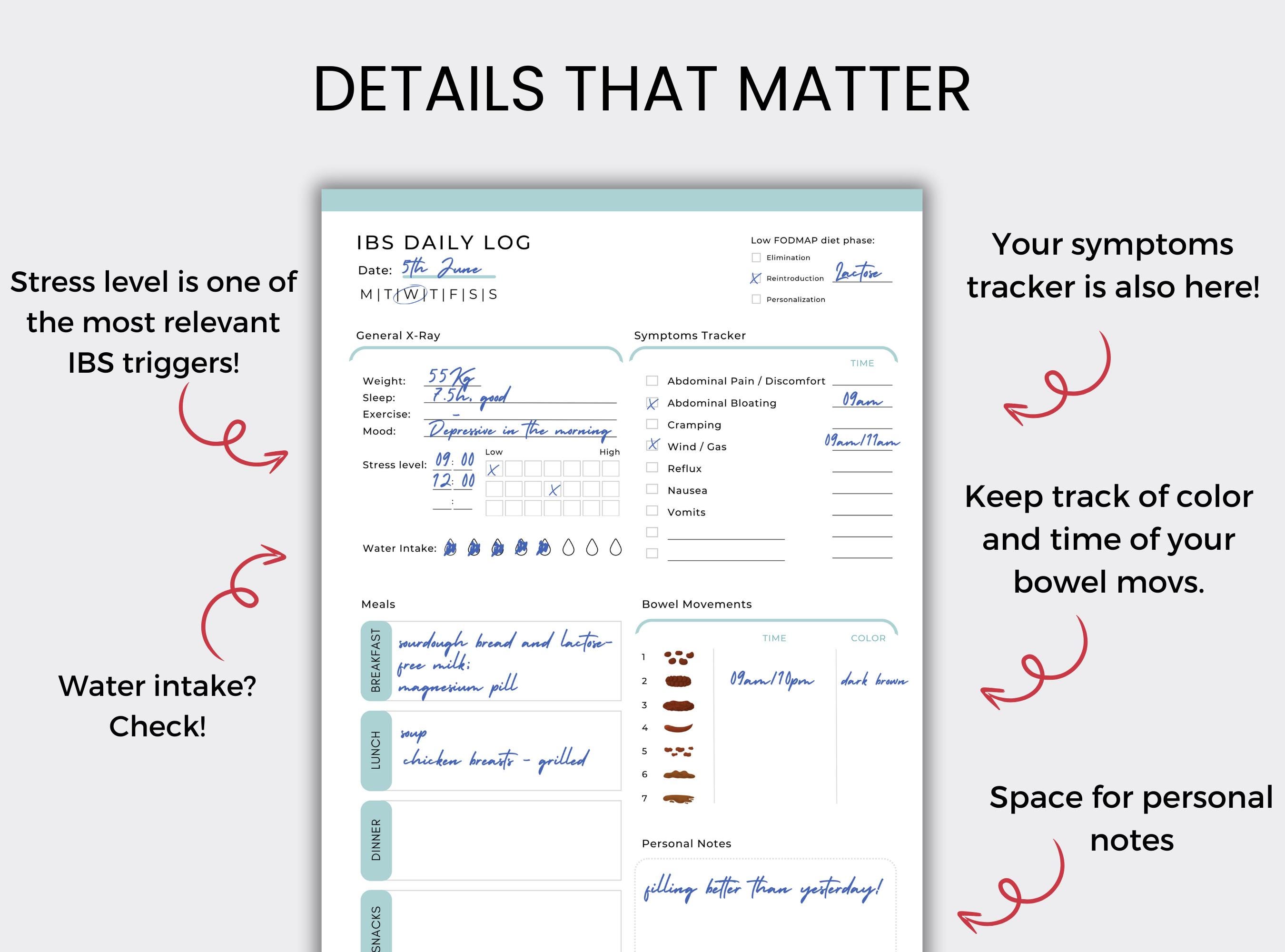 IBS Daily Tracker: Food Log, Symptoms, Bowel Movement (PDF) - Etsy