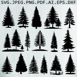 Pine Tree SVG Bundle: Evergreen Forest Landscape (Digital Files)