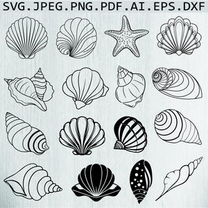 May include: A selection of black and white seashell and starfish illustrations. The image features diverse shell shapes and a starfish, all in a simple line art style. The text at the top reads "SVG. JPEG. PNG. PDF. AI. EPS. DXF."