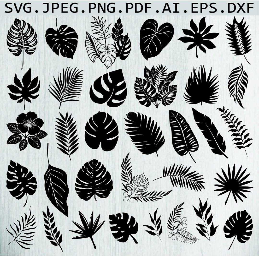 Monstera Leaf SVG Bundle: Tropical Leaves Clipart (digital Download - Etsy