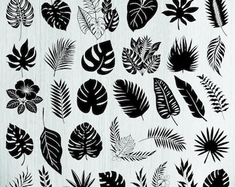 Monstera Blatt SVG Bundle: Tropische Blätter Clipart (Digitaler Download