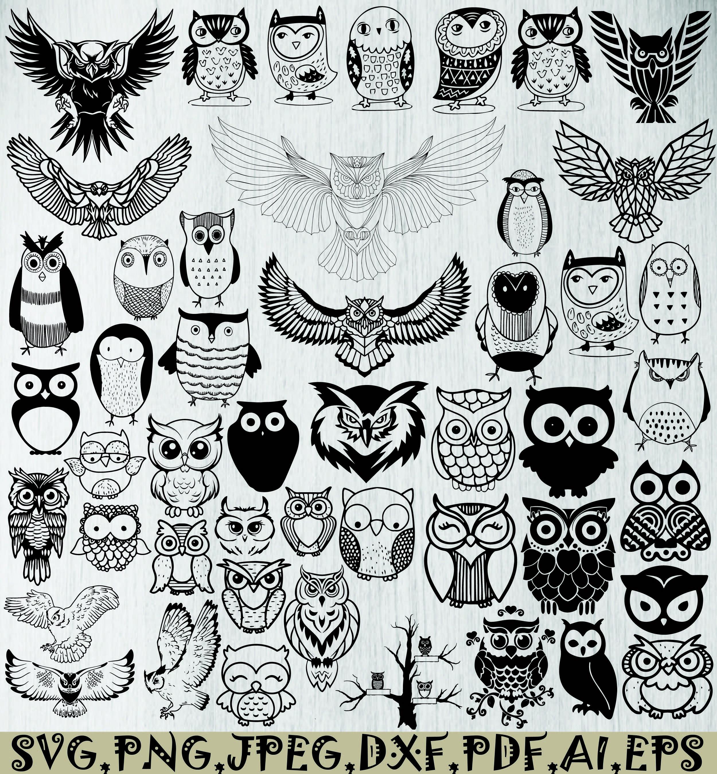 87 Owl svg bundle, Floral Owl Svg, Owl Vector, Owl mandala, Owl Zentangle svg, Clipart svg, Owl cut 