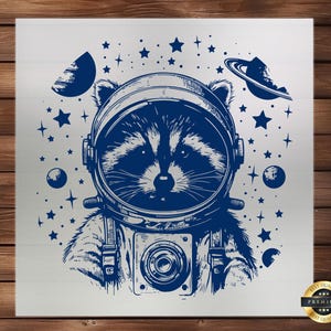 Houston DTF Transfer, I Have So Many Problems Funny Raccoon, Cartoon Design, Easy Application, Quirky Apparel, Ready to Press, Iron on Decal