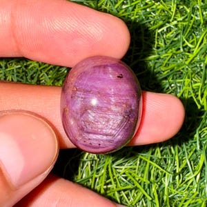 Peut inclure: Une pierre précieuse polie, de forme ovale, d'un violet-rose profond. La pierre translucide présente des lignes et des motifs internes. La pierre est tenue entre deux doigts sur un fond d'herbe verte.