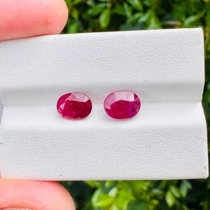 May include: Two oval-cut, deep red rubies are displayed on a white surface. The gemstones have a brilliant, faceted appearance, reflecting light. The rubies are set against a backdrop of green foliage.