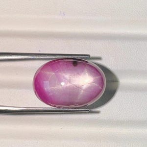 Könnte beinhalten: Ein polierter, ovalförmiger, rosa Edelstein, der von einer Pinzette gehalten wird. Der Edelstein hat einen sternartigen Effekt auf seiner Oberfläche. Der Stein hat eine leuchtend rosa Farbe mit einem dezenten, hellfarbigen Sternmuster. Die Pinzette ist silberfarben.