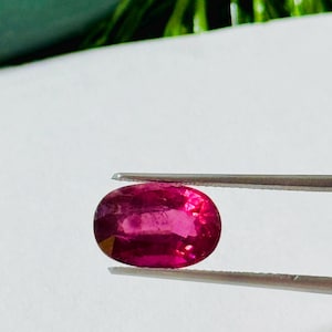 以下が含まれることがあります： 白い背景に、ピンセットで挟まれた楕円形のルビー。ルビーは、内部の光の反射を伴う、深く豊かな赤色を示しています。宝石は焦点であり、その研磨された表面と透明度を際立たせています。