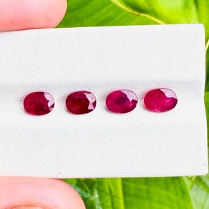 Könnte beinhalten: Vier oval geschliffene, tiefrote Rubine, die auf einer weißen Oberfläche präsentiert werden. Die Edelsteine sind lebendig und poliert und zeigen ihre satte Farbe. Der Hintergrund zeigt grünes Laub.