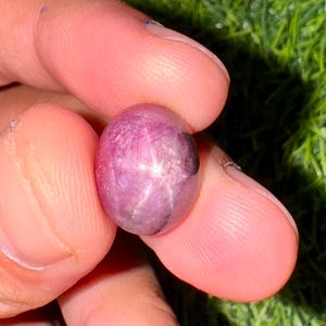 Naturlig Rubin Stjärna Oval Kub 1 st Lös sten god färg Afrikansk Rubin 16,40 karat Rubin Certifierad ädelsten Stor storlek 14x11,9 x 9 MM