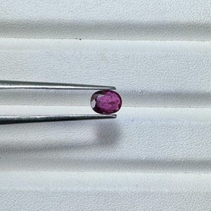 May include: A small, oval-shaped, deep pink gemstone is held by a pair of silver tweezers. The gemstone has a polished surface and is set against a white background. The tweezers are positioned horizontally.