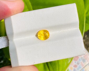 1 Pieces Natural Yellow Sapphire~Sapphire Cut Stone~Yellow Sapphire Gem Stone~ Oval Cut Faceted Loose Gemstone 1.85carats 7.2x6.4MM