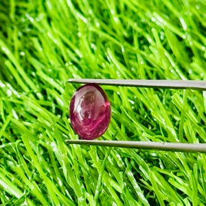 May include: A polished, oval-shaped, deep red gemstone is held by silver tweezers against a backdrop of vibrant green artificial grass. The gemstone's surface reflects light, showcasing its clarity and color. This image highlights the gemstone's beauty and potential use in jewelry.