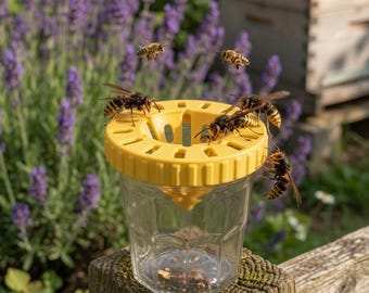 Différents Pièges sélectifs frelon asiatique – Compatible pot TO82 – Protection abeilles – Réutilisable – Jardin & rucher