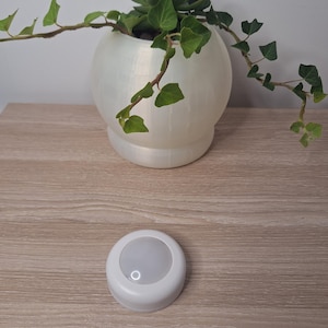 May include: A white, round LED puck light with a gray center sits on a light brown wooden surface. A white, spherical planter with a succulent and trailing ivy is in the background.