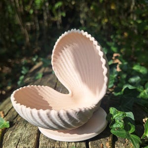 May include: A light pink seashell-shaped decorative bowl. The bowl is open, revealing a smooth interior, and rests on a small, round base. The edges of the shell have a textured, ridged design. The bowl is set on a weathered wooden surface.