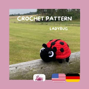 May include: A crochet ladybug toy with a bright red shell featuring black spots and a black head with large white and black eyes. The text CROCHET PATTERN LADYBUG is displayed above the toy, along with small American and German flag icons.