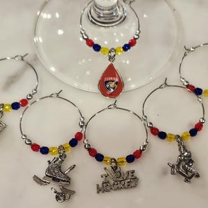 Florida Panthers  Hockey wine charms w/pouch