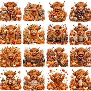 Può includere: Una collezione di sedici illustrazioni raffiguranti soffici bovini Highland in ambientazioni autunnali con zucche, girasoli, fogliame, carri in legno, lanterne e tazze con testi come Cozy Vibes, Harvest e Pumpkin Spice Latte.