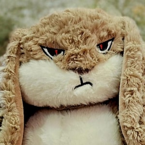 May include: A plush bunny with a stern expression. The bunny has brown fur, white accents around the mouth and chest, and red eyes. The bunny's ears are long and floppy, and its face has a furrowed brow and a small, black frown.
