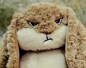 ANGRY BUNNY ALERT!! This meanie is a stash jar stuffie plushie with a little hidden hidey secret plastic jar inside! Look how it opens!