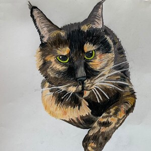 Custom pet portrait colored pencil image 2